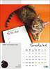 Kalendarz wieloplanszowy STANDARD – Kot w biurze | J-WP136