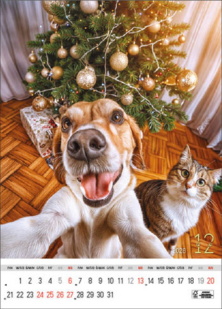 Kalendarz wieloplanszowy STANDARD – Selfie | J-WP135