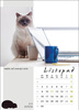 Kalendarz wieloplanszowy STANDARD – Kot w biurze | J-WP136