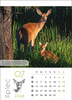 Kalendarz wieloplanszowy STANDARD – Leśne rodziny | J-WP 128