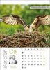 Kalendarz wieloplanszowy STANDARD – Leśne rodziny | J-WP 128
