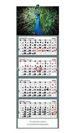 Kalendarz czterodzielny – Paw | J-C72BK