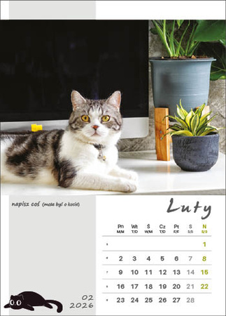 Kalendarz wieloplanszowy STANDARD – Kot w biurze | J-WP136