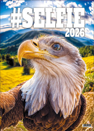 Kalendarz wieloplanszowy STANDARD – Selfie | J-WP135