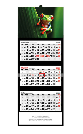 Kalendarz trójdzielny STANDARD – Żabka | J-T 60 BK