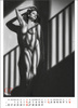 Kalendarz wieloplanszowy STANDARD – Erotic Art | J-WP147