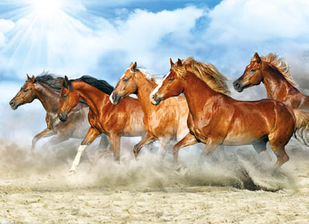 Kalendarz trójdzielny STANDARD – Konie | J-T46BK