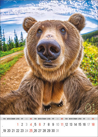 Kalendarz wieloplanszowy STANDARD – Selfie | J-WP135