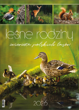 Kalendarz wieloplanszowy STANDARD – Leśne rodziny | J-WP 128
