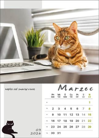 Kalendarz wieloplanszowy STANDARD – Kot w biurze | J-WP136