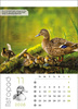 Kalendarz wieloplanszowy STANDARD – Leśne rodziny | J-WP 128