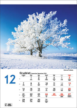 Kalendarz wieloplanszowy STANDARD – Malownicza Polska | J-WP 118