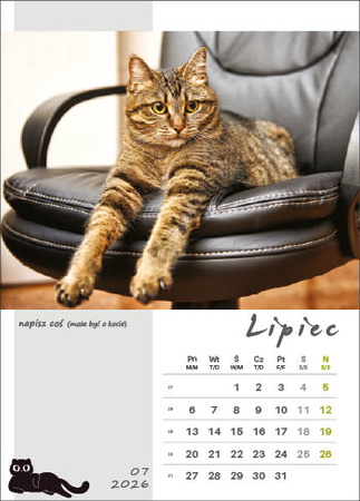 Kalendarz wieloplanszowy STANDARD – Kot w biurze | J-WP136
