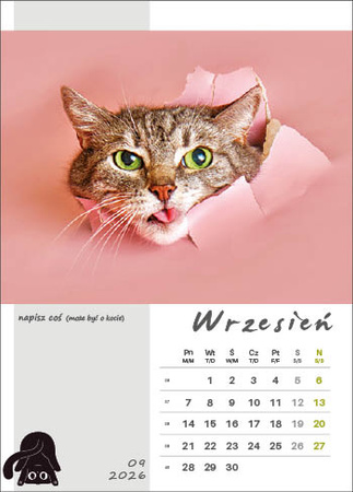 Kalendarz wieloplanszowy STANDARD – Kot w biurze | J-WP136