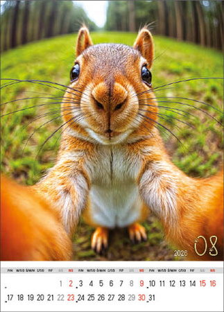 Kalendarz wieloplanszowy STANDARD – Selfie | J-WP135