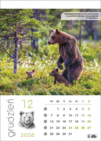 Kalendarz wieloplanszowy STANDARD – Leśne rodziny | J-WP 128