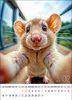 Kalendarz wieloplanszowy STANDARD – Selfie | J-WP135