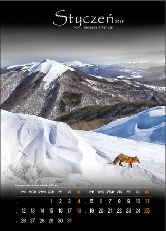 Kalendarz wieloplanszowy STANDARD – Tajemnicze Bieszczady | J-WP 127