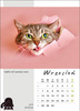 Kalendarz wieloplanszowy STANDARD – Kot w biurze | J-WP136
