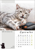 Kalendarz wieloplanszowy STANDARD – Kot w biurze | J-WP136