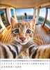 Kalendarz wieloplanszowy STANDARD – Selfie | J-WP135