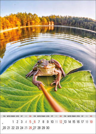 Kalendarz wieloplanszowy STANDARD – Selfie | J-WP135