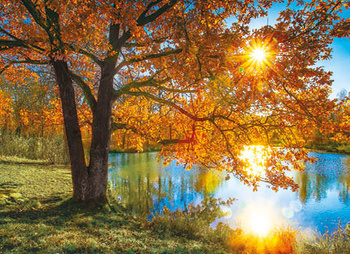 Kalendarz czterodzielny – Jesień nad jeziorem | J-C49BK