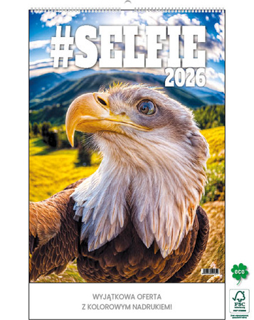 Kalendarz wieloplanszowy STANDARD – Selfie | J-WP135