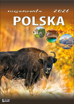 Kalendarz wieloplanszowy STANDARD – Niesamowita Polska | J-WP 116