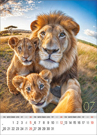 Kalendarz wieloplanszowy STANDARD – Selfie | J-WP135
