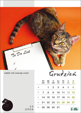 Kalendarz wieloplanszowy STANDARD – Kot w biurze | J-WP136