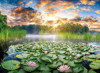 Kalendarz trójdzielny STANDARD – Lilie wodne | J-T 50 BK