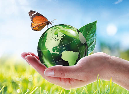 Kalendarz trójdzielny STANDARD – Natura | J-T64BK