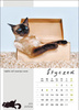 Kalendarz wieloplanszowy STANDARD – Kot w biurze | J-WP136