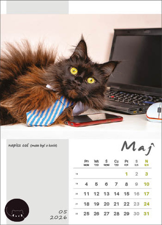 Kalendarz wieloplanszowy STANDARD – Kot w biurze | J-WP136