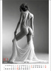 Kalendarz wieloplanszowy STANDARD – Erotic Art | J-WP147