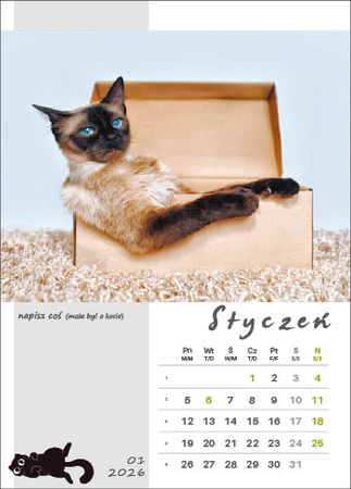 Kalendarz wieloplanszowy STANDARD – Kot w biurze | J-WP136