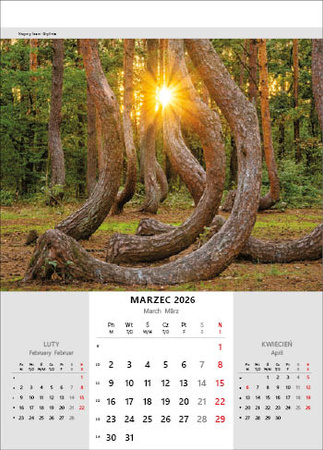 Kalendarz wieloplanszowy STANDARD – Niesamowita Polska | J-WP 116