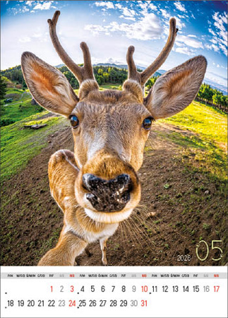 Kalendarz wieloplanszowy STANDARD – Selfie | J-WP135