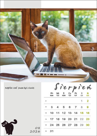 Kalendarz wieloplanszowy STANDARD – Kot w biurze | J-WP136