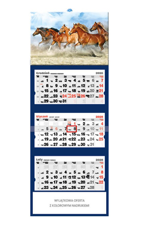 Kalendarz trójdzielny STANDARD – Konie | J-T46BK