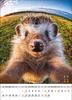 Kalendarz wieloplanszowy STANDARD – Selfie | J-WP135