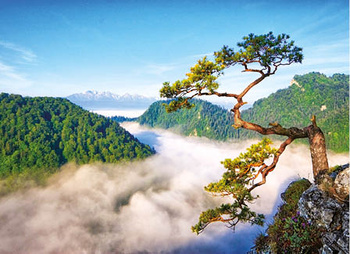 Kalendarz czterodzielny – Limba na Sokolicy | J-C54BK